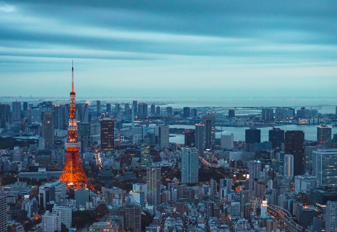  tokyo city skylines at night tokyo tower Coto Japanese Club